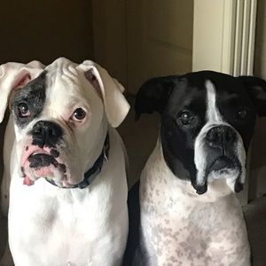 Meet your Posher, Lynne